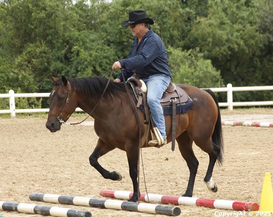 Calcrete Custers Mirage